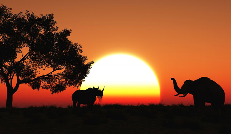 áfrica en furgoneta
